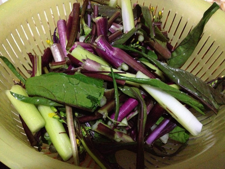 腊肉炒菜苔步骤2