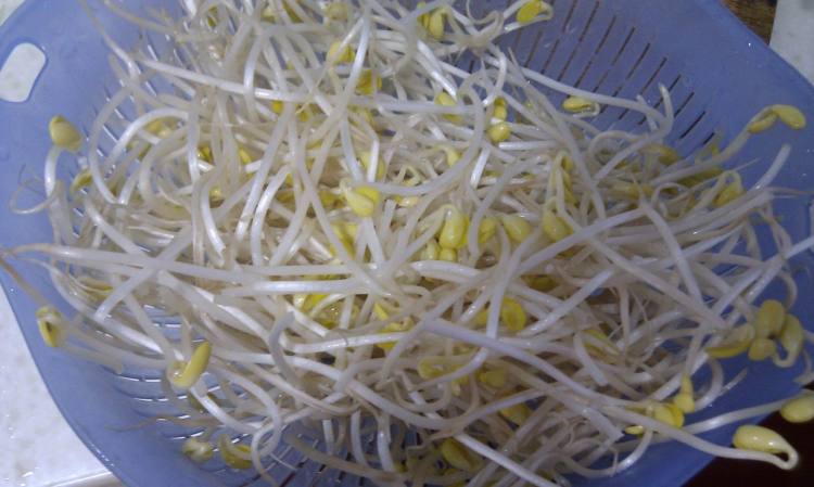 腊肉炒豆芽步骤2