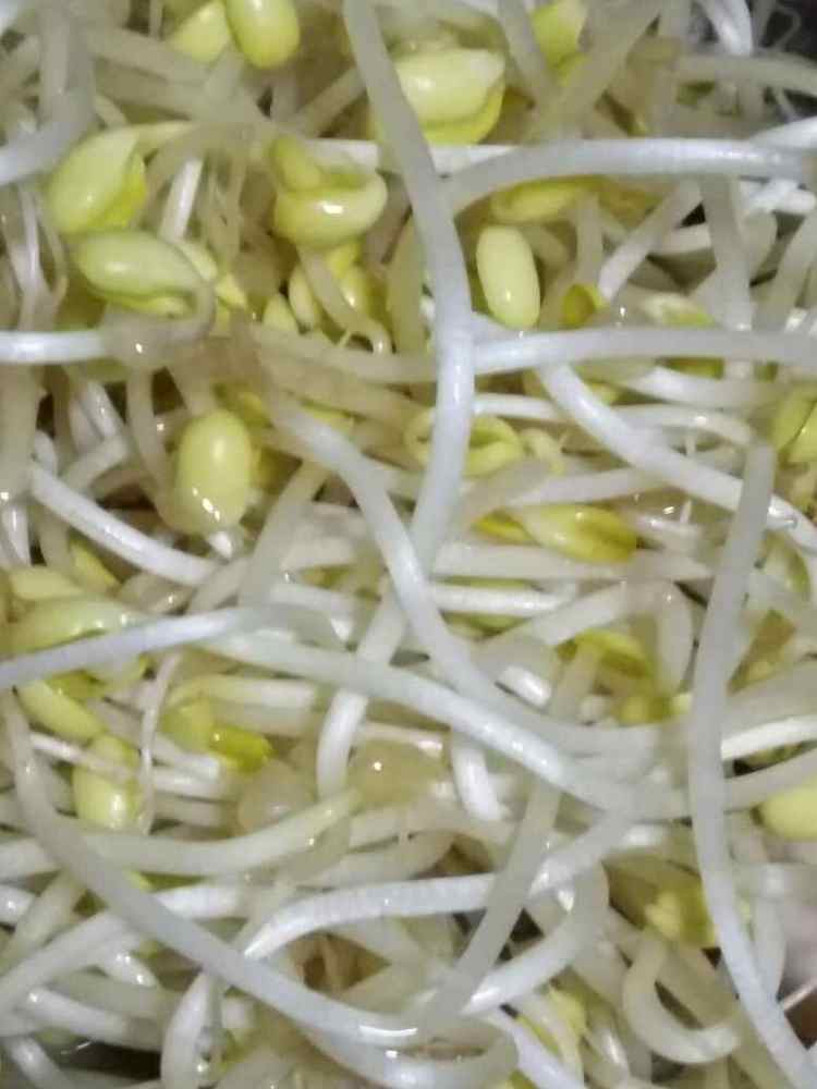 银芽丝瓜火腿丁步骤3