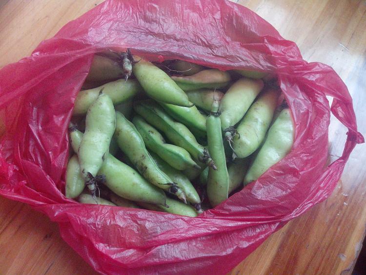 火腿炒胡豆步骤1