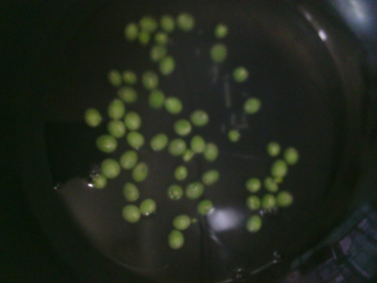 鸡蛋火腿炒意粉步骤3