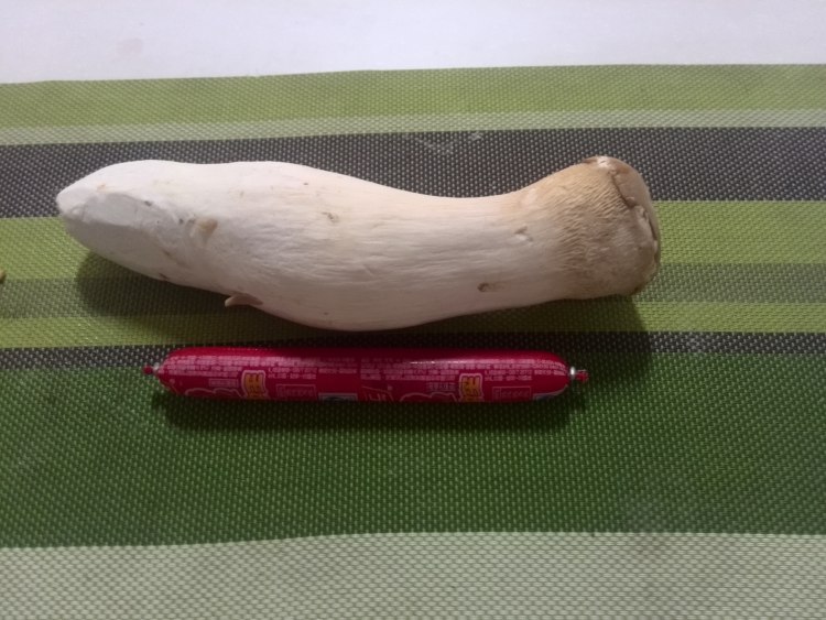 火腿爆炒素鸡丝步骤1