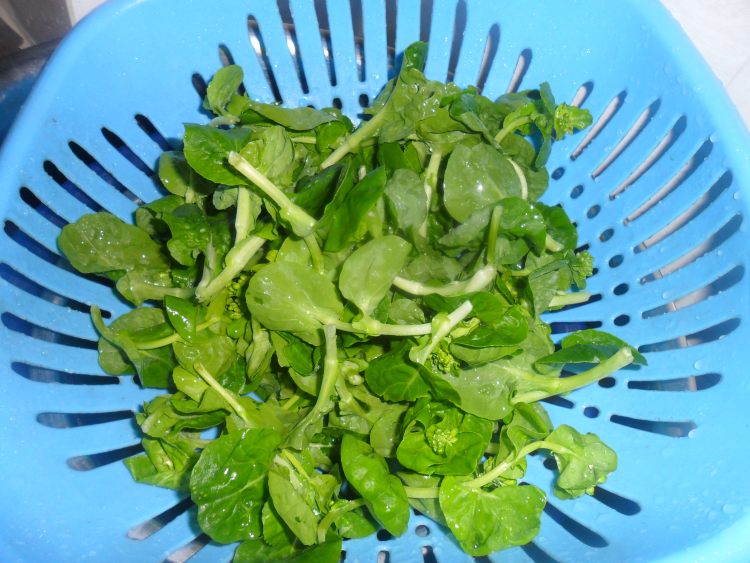 火腿韭菜面步骤2