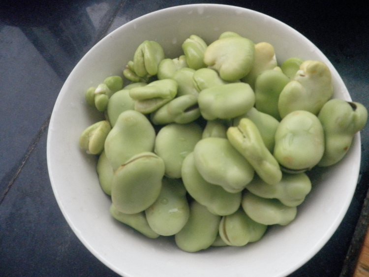 蚕豆香菇炒火腿步骤1