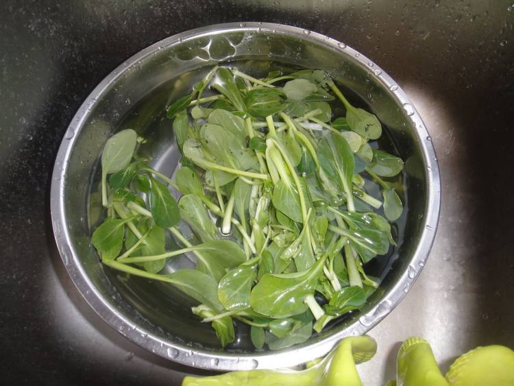 上汤鸡毛菜步骤2