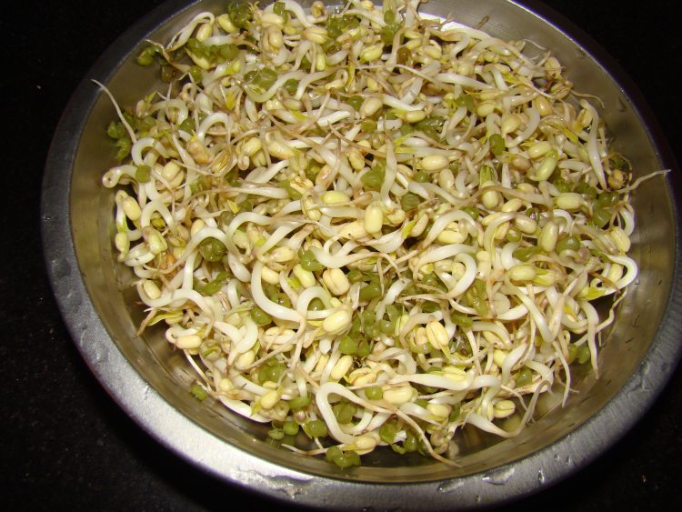 火腿炒豆芽步骤2