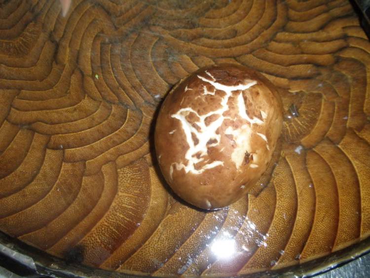 香菇片炒紫菜苔步骤4