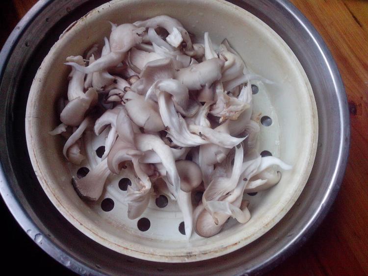 火腿炒蘑菇步骤4