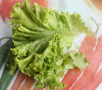 火腿生菜紫甘蓝鸡蛋卷步骤1