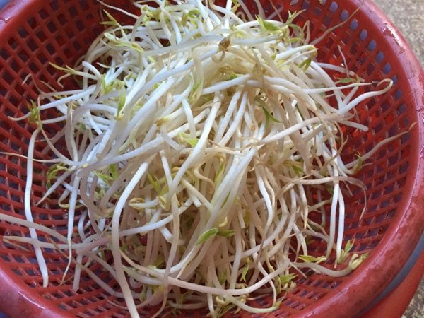 豆芽炒香肠步骤1