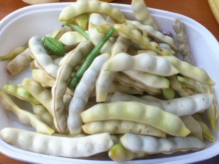 芸豆炖粉条步骤1
