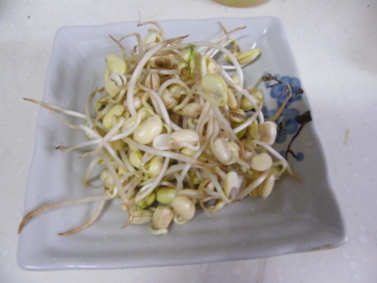 自发豆芽炒香肠步骤1