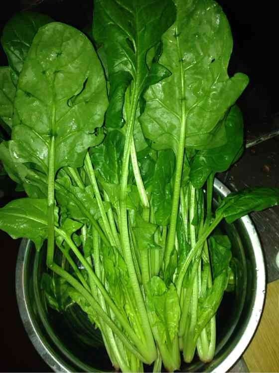 杏鲍菇香肠卷步骤11