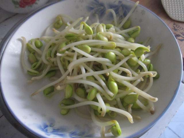 黄豆芽拌饭步骤5