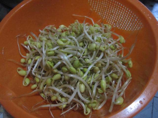 韭菜豆芽炒香肠步骤1