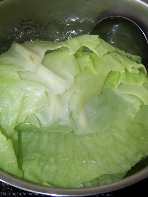 春天养生茄汁包心菜卷步骤1