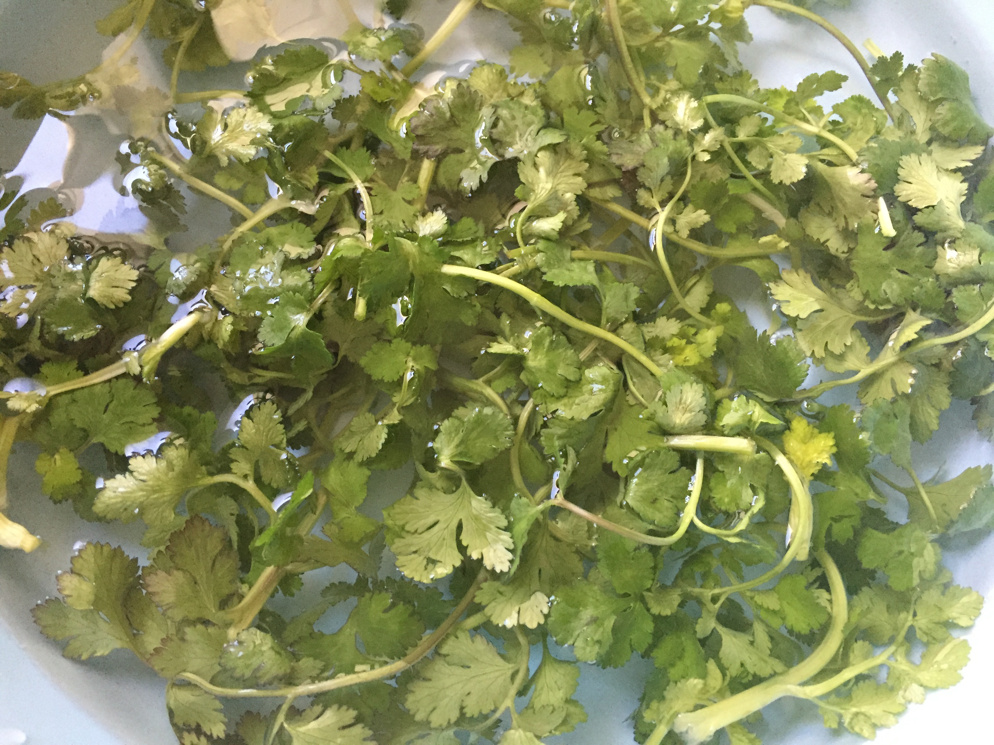 香菜胡萝卜鸡肉丸步骤6