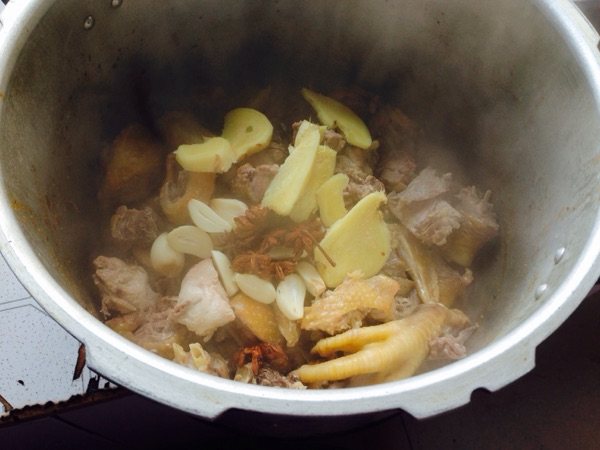 鸡肉炖萝卜步骤4