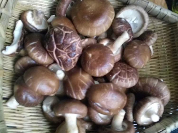 香菇炖鸡汤步骤2