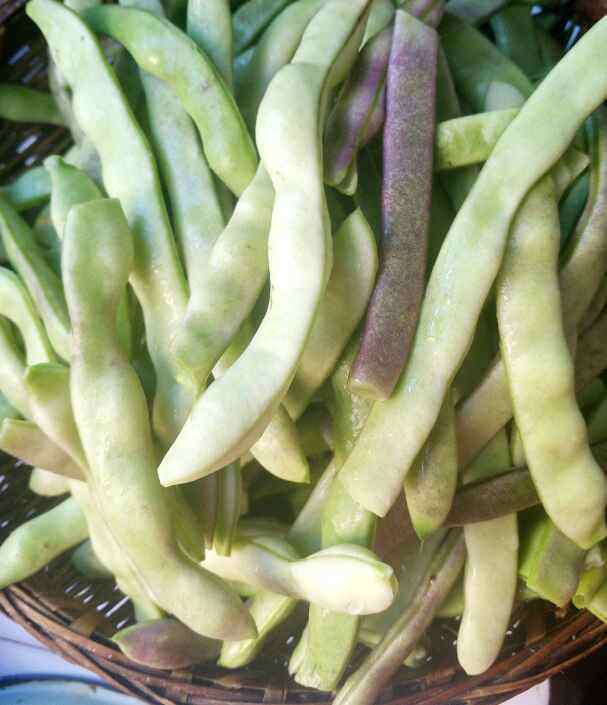 豆角土豆焖鸡块步骤2