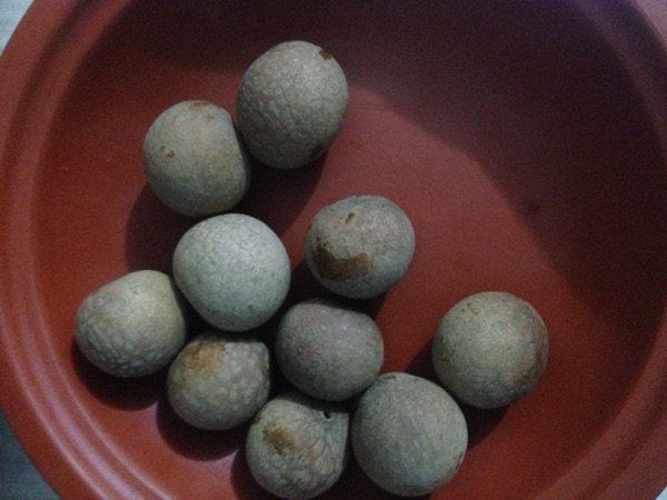 鱼胶鸡肉汤步骤3