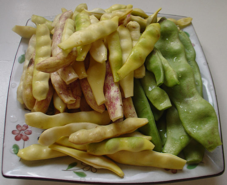 鸡肉炖黄绿豆角步骤3