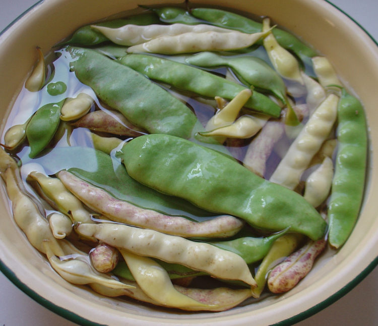 鸡肉炖黄绿豆角步骤1