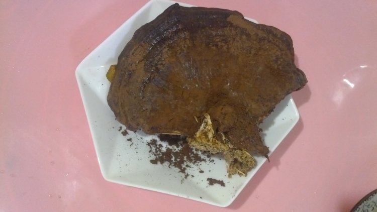 灵芝枸杞鸡肉汤步骤3