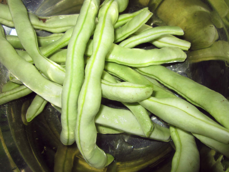 芸豆丝炒鸡丝步骤1