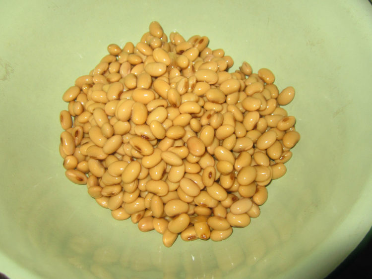 酱香咸菜豆粒步骤3