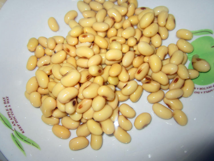 咸菜鸡丝炒黄豆步骤3