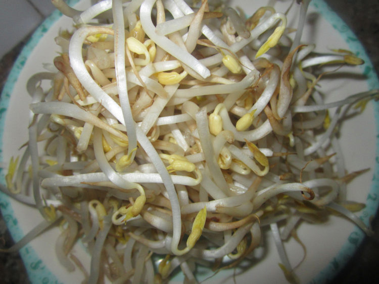 银芽鸡丝打卤面步骤1