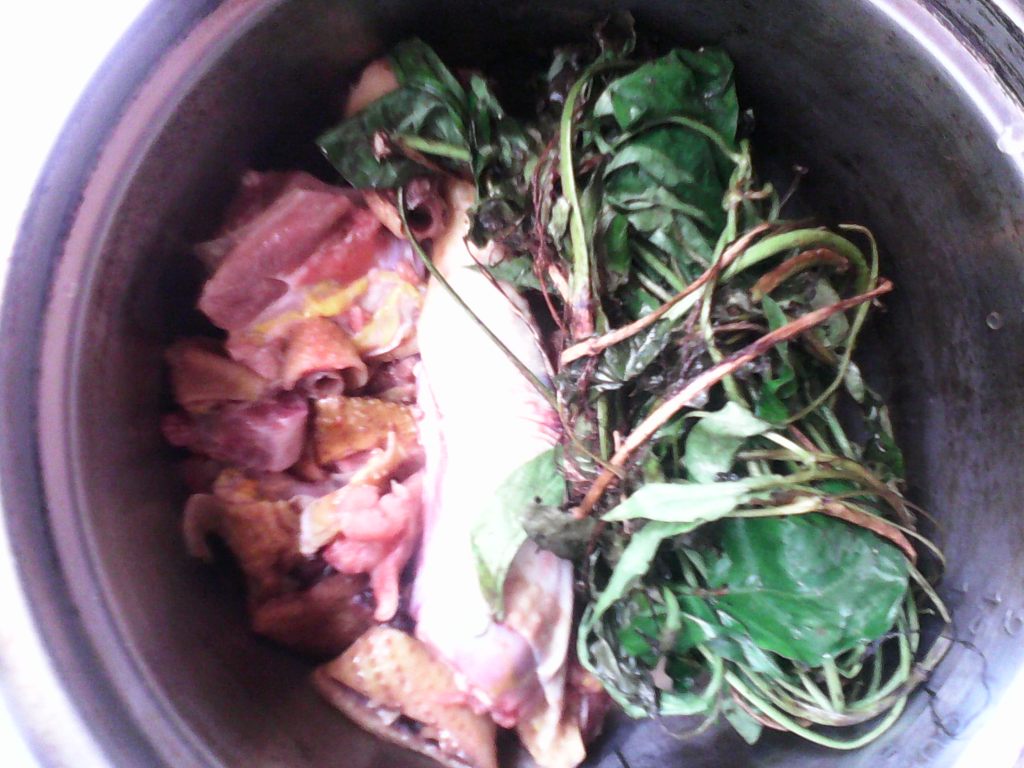鸡屎藤炖鸡步骤4