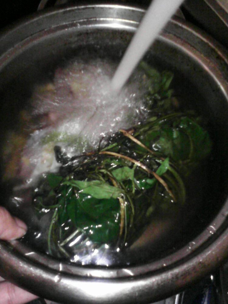 鸡屎藤炖鸡步骤5