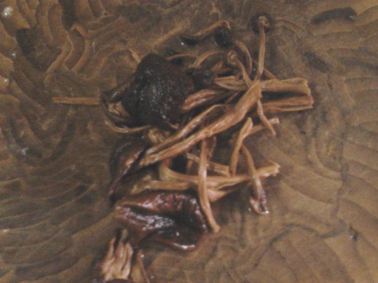 茶树菇芋头鸡汤步骤2
