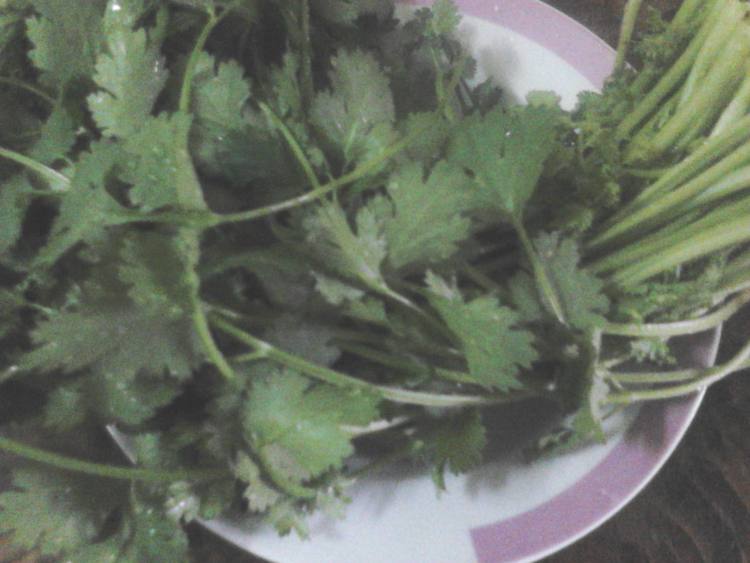 鸡肉鱼丸火锅步骤4