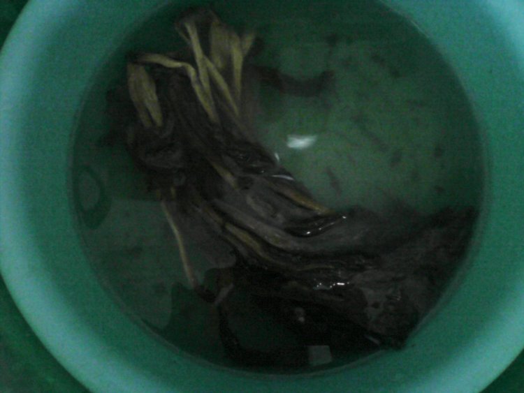 菜干鸡肉粥步骤2