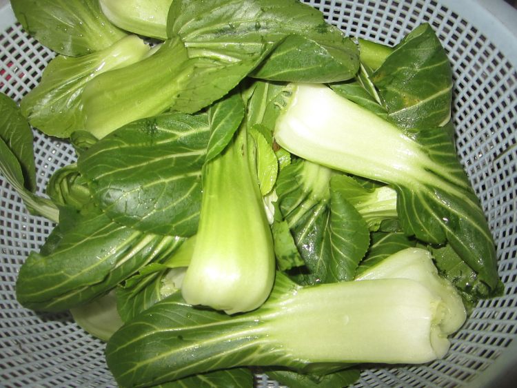 蚝油青菜鸡片步骤2