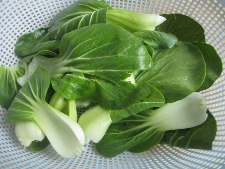 油菜炒鸡丝步骤1