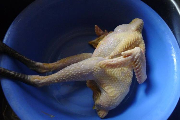 虫草花猪肚煲土鸡汤步骤2