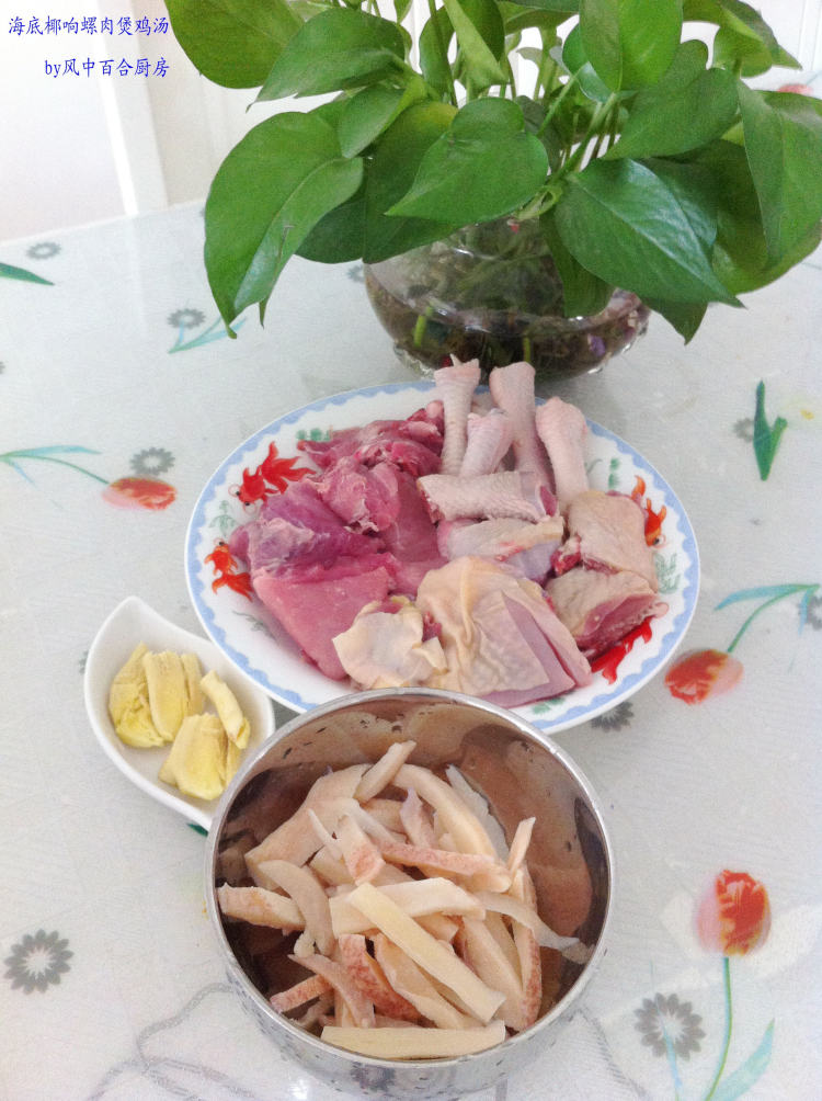 海底椰响螺肉鸡汤步骤3