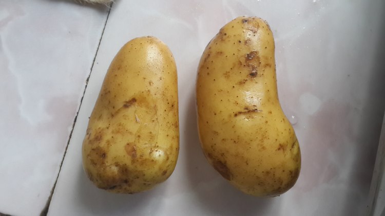 马苏里拉土豆泥步骤1
