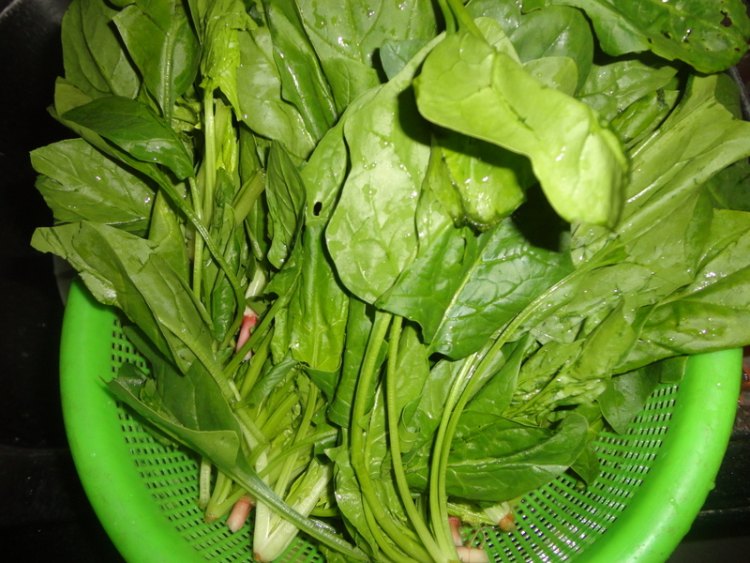 鸡丝菠菜汤步骤3