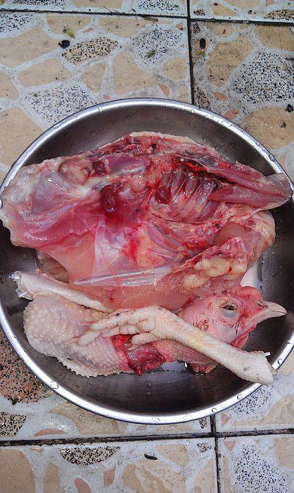 鸡肉瘦肉桂圆肉煲花胶步骤2