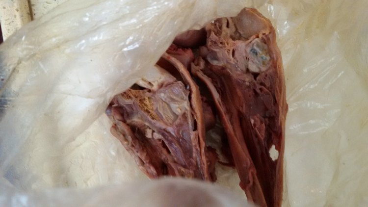 香辣黄豆炒卤味鸡丁步骤4
