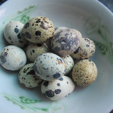 鸡翅炒蛋步骤3