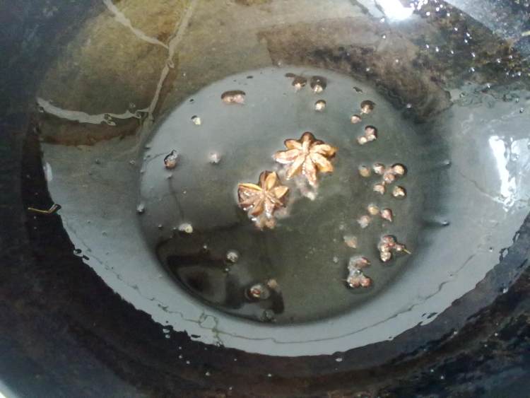 粉皮鸡翅炖土豆步骤1
