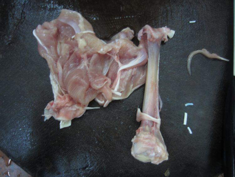 新奥尔良黑椒鸡肉烤土步骤2