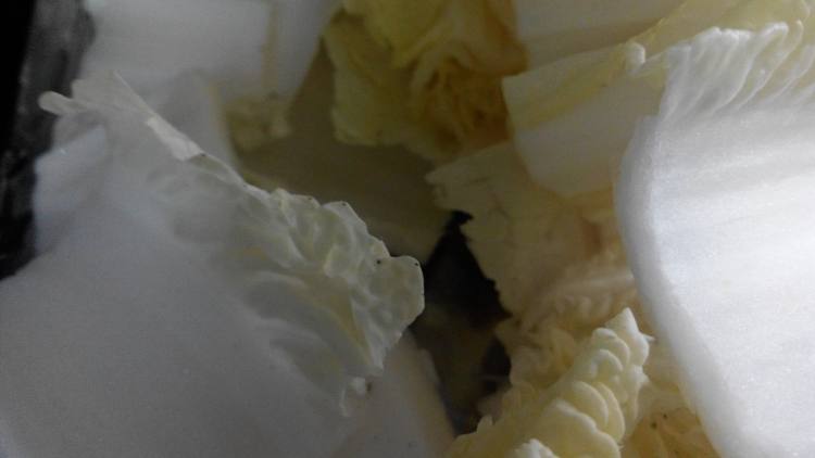 娃娃菜豆腐炖鸡步骤4