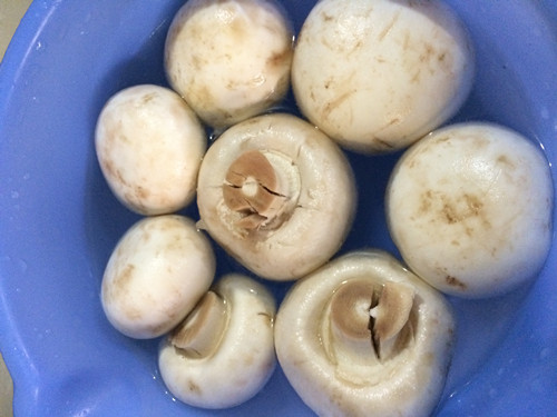 口蘑鸡块步骤1